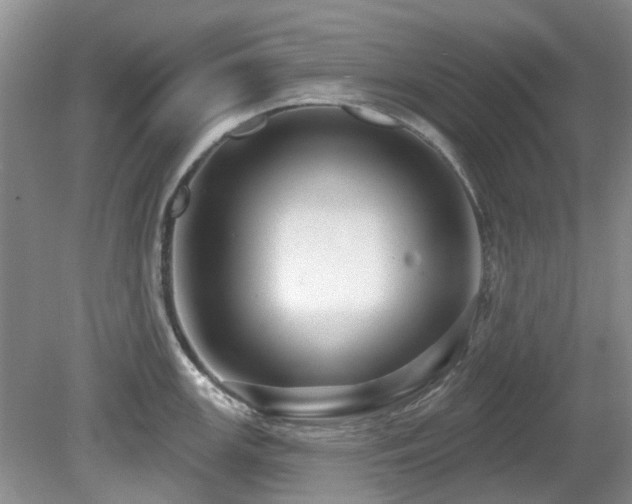 X0000080131147200612081223