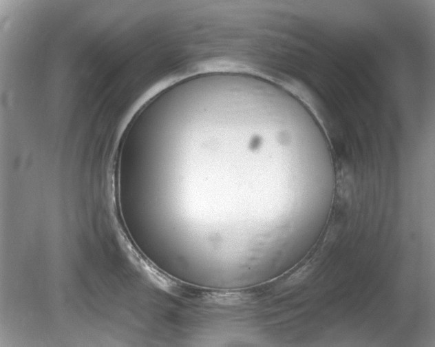 X0000080131150200612081223