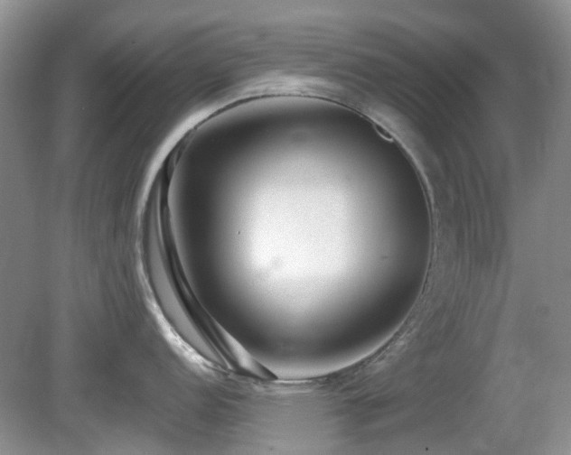 X0000080131152200612081223