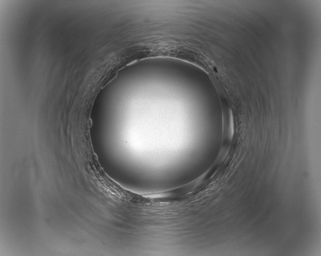 X0000080131153200612081223