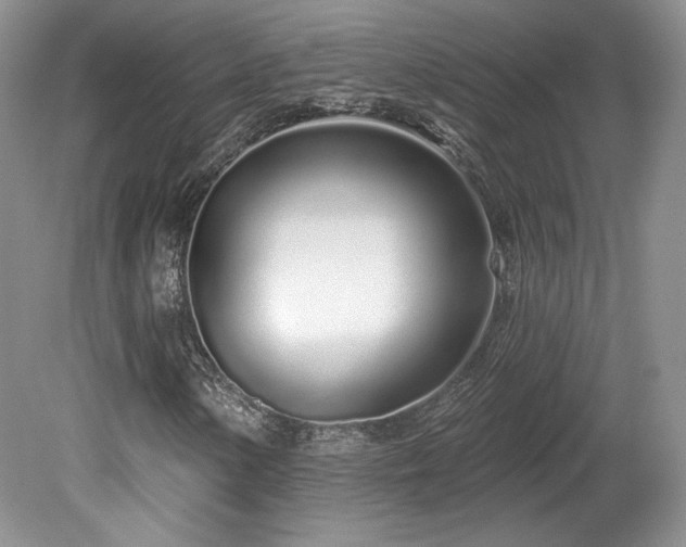 X0000080131154200612081223