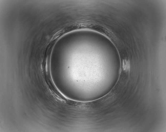 X0000080131155200612081223