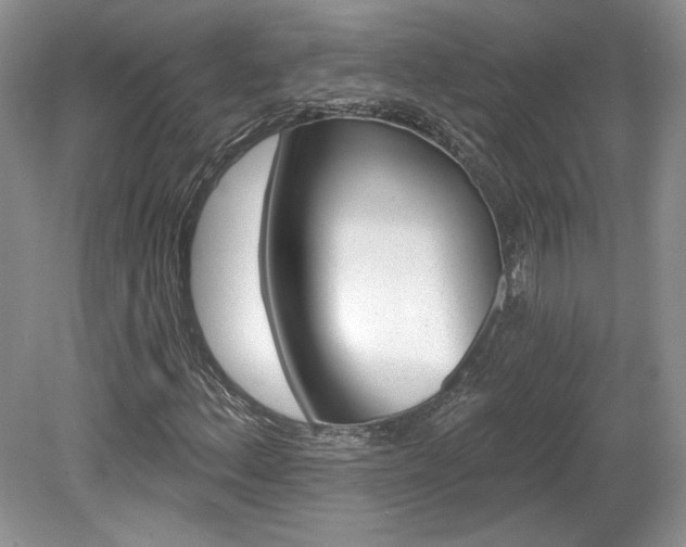 X0000080131156200612081222