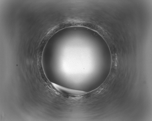 X0000080131157200612081222