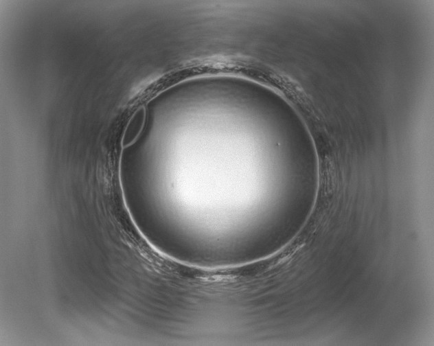 X0000080131158200612081222