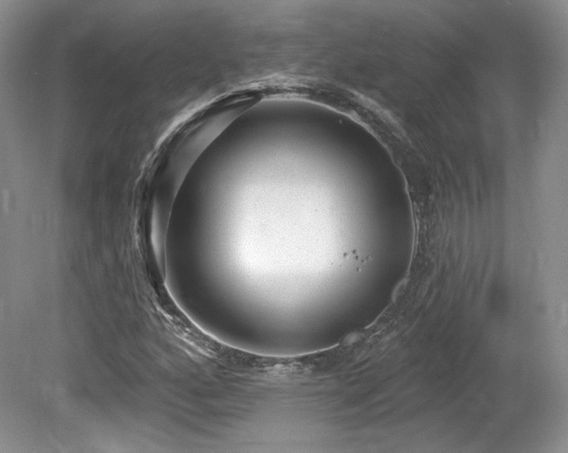 X0000080131160200612081222