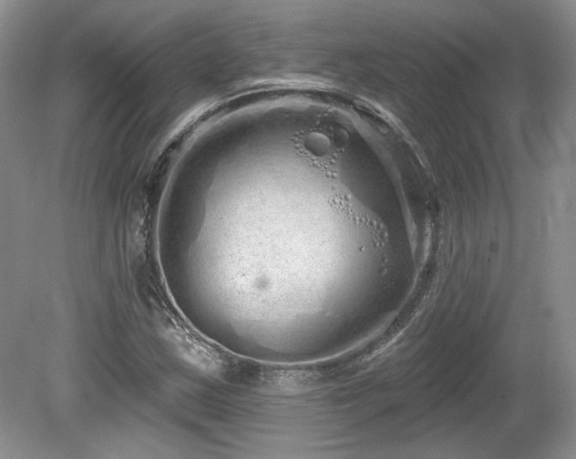 X0000080131163200612081222