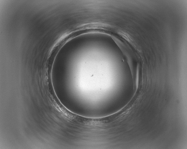 X0000080131164200612081222