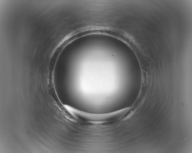 X0000080131165200612081222