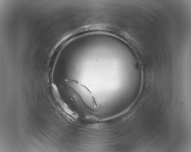 X0000080131166200612081222