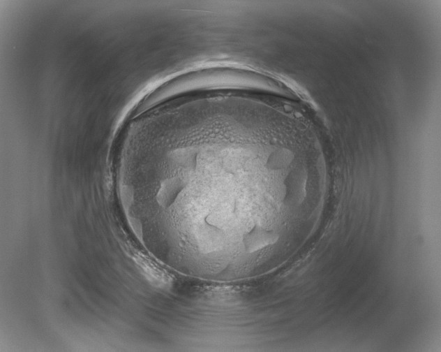 X0000080131167200612081222