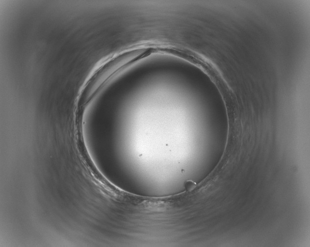 X0000080131168200612081222