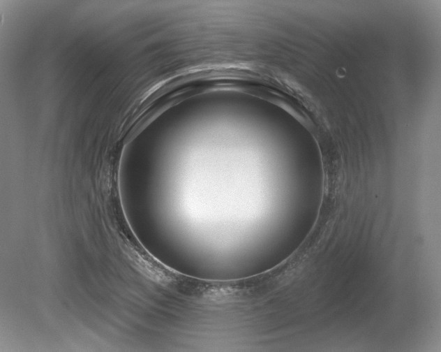 X0000080131169200612081222