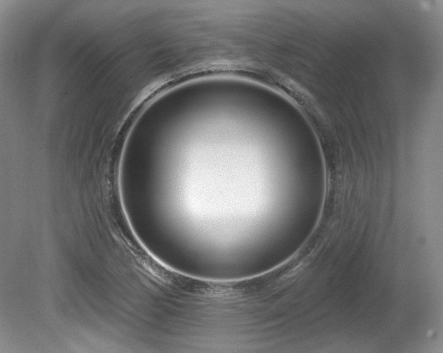 X0000080131170200612081222