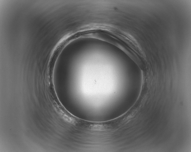 X0000080131172200612081222