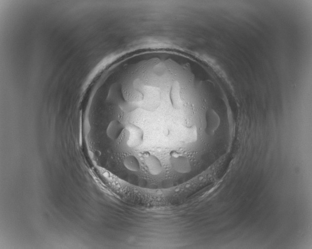 X0000080131175200612081222