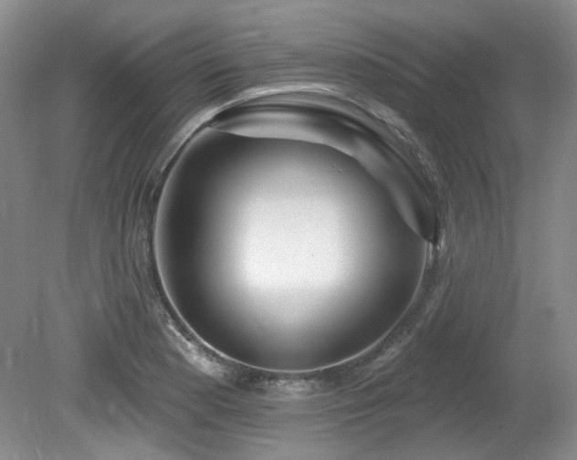 X0000080131177200612081222