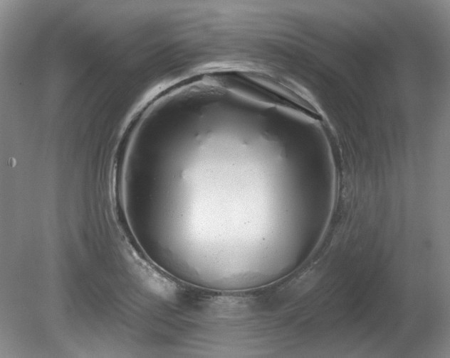 X0000080131179200612081222