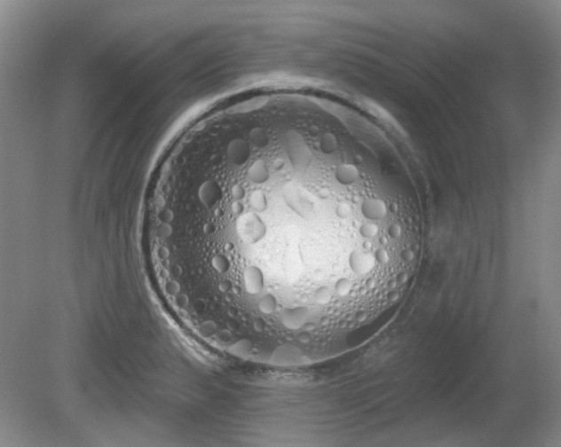 X0000080131183200612081222