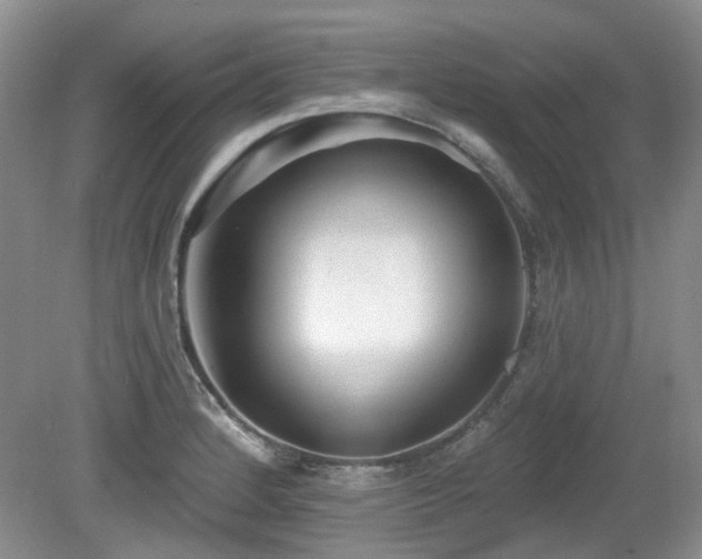 X0000080131184200612081222