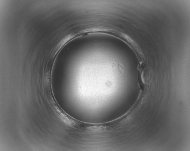 X0000080131185200612081222