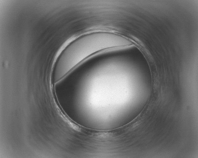 X0000080131188200612081222