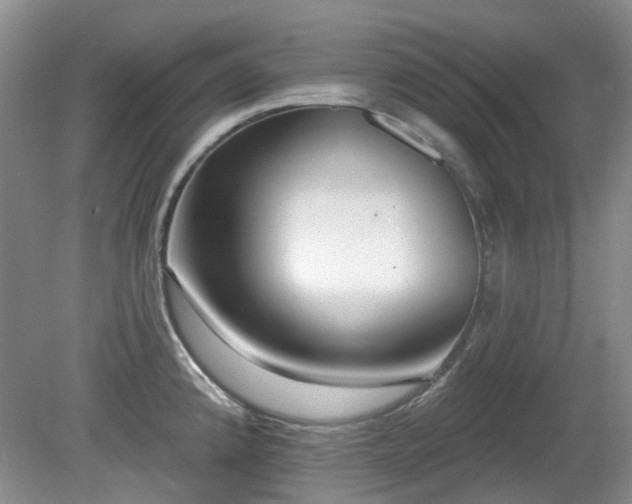 X0000080131192200612081222