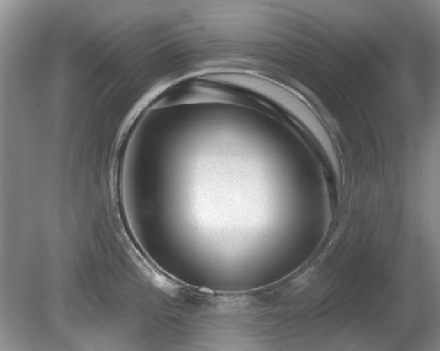 X0000080131196200612081222