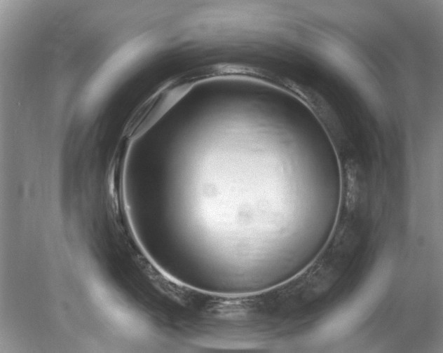 X0000080131198200612081222