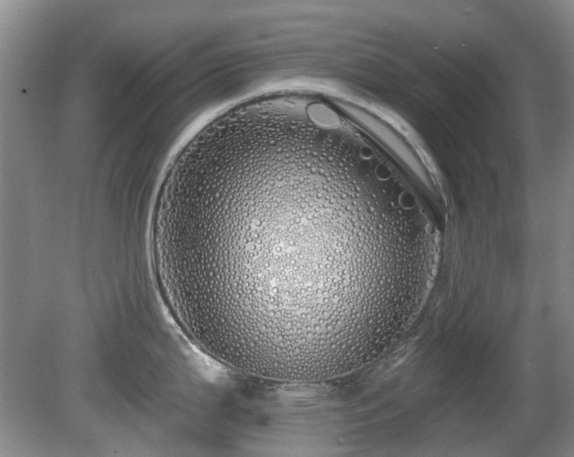 X0000080131199200612081222