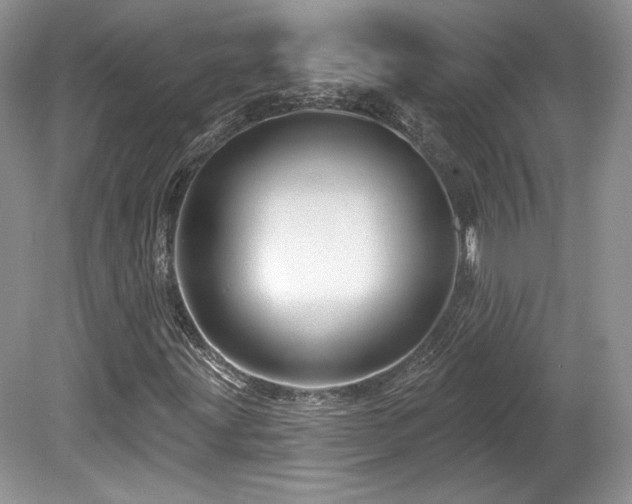 X0000080131203200612081221