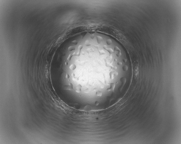 X0000080131204200612081221