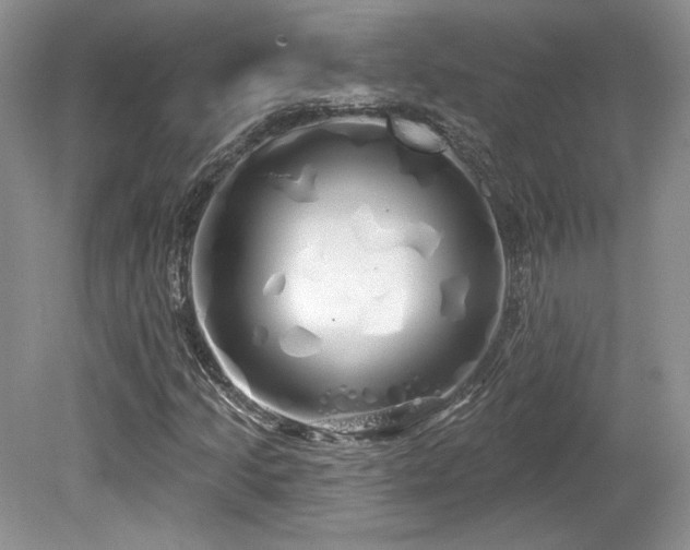 X0000080131205200612081221