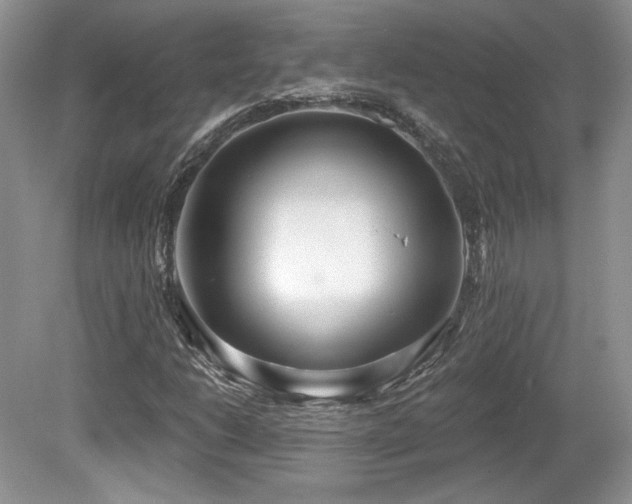 X0000080131206200612081221