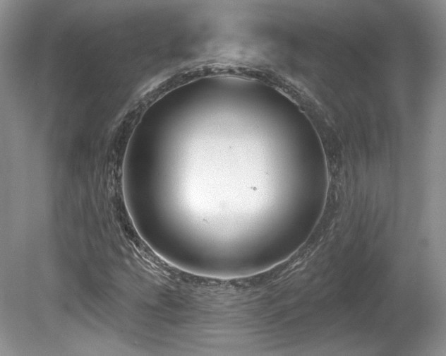 X0000080131207200612081221