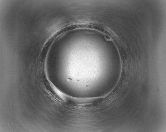 X0000080131208200612081221