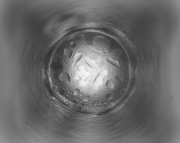 X0000080131209200612081221