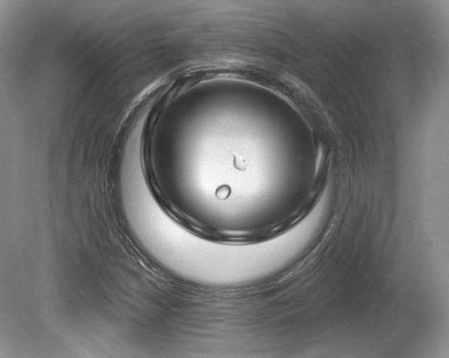 X0000080131210200612081221