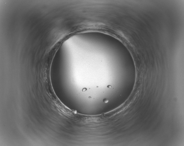 X0000080131211200612081221