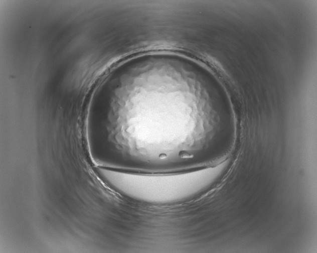 X0000080131212200612081221