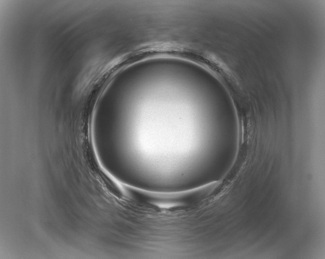 X0000080131213200612081221