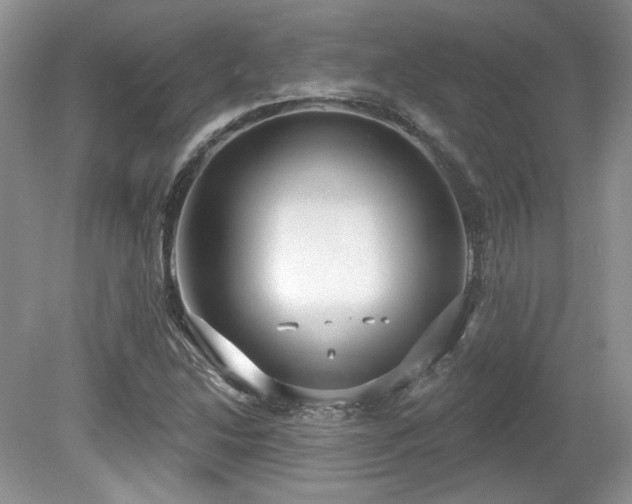 X0000080131214200612081221