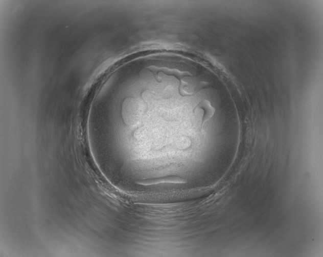 X0000080131215200612081221