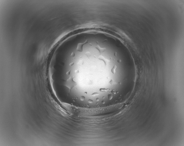 X0000080131216200612081221