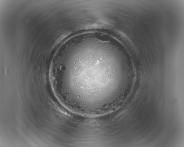 X0000080131217200612081221