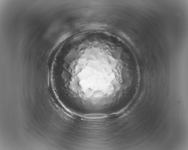 X0000080131219200612081221