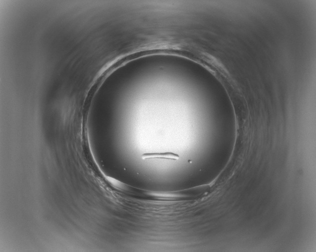 X0000080131220200612081221