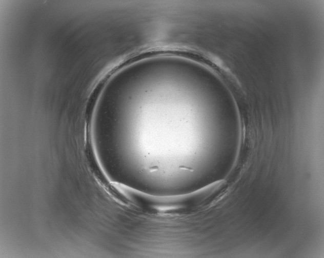 X0000080131221200612081221