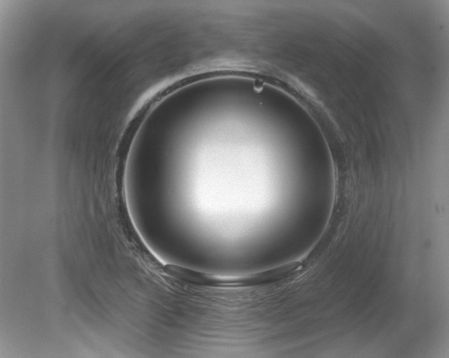 X0000080131222200612081221