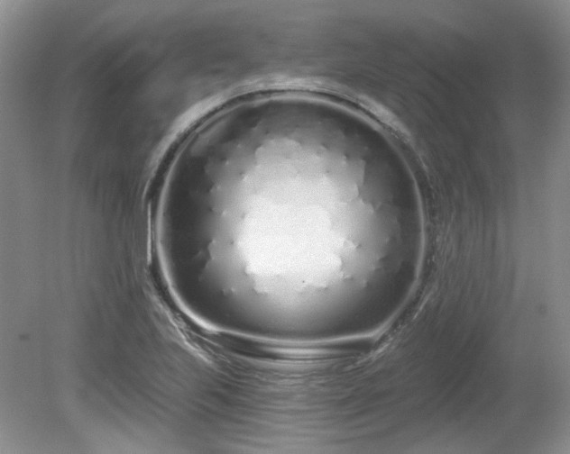 X0000080131223200612081221